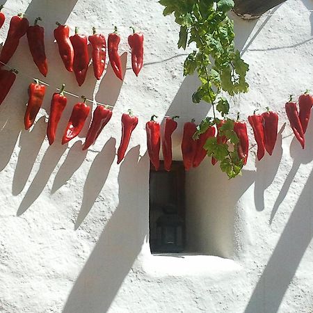 Hotel Rural Cortijo La Alberca Níjar Exterior photo