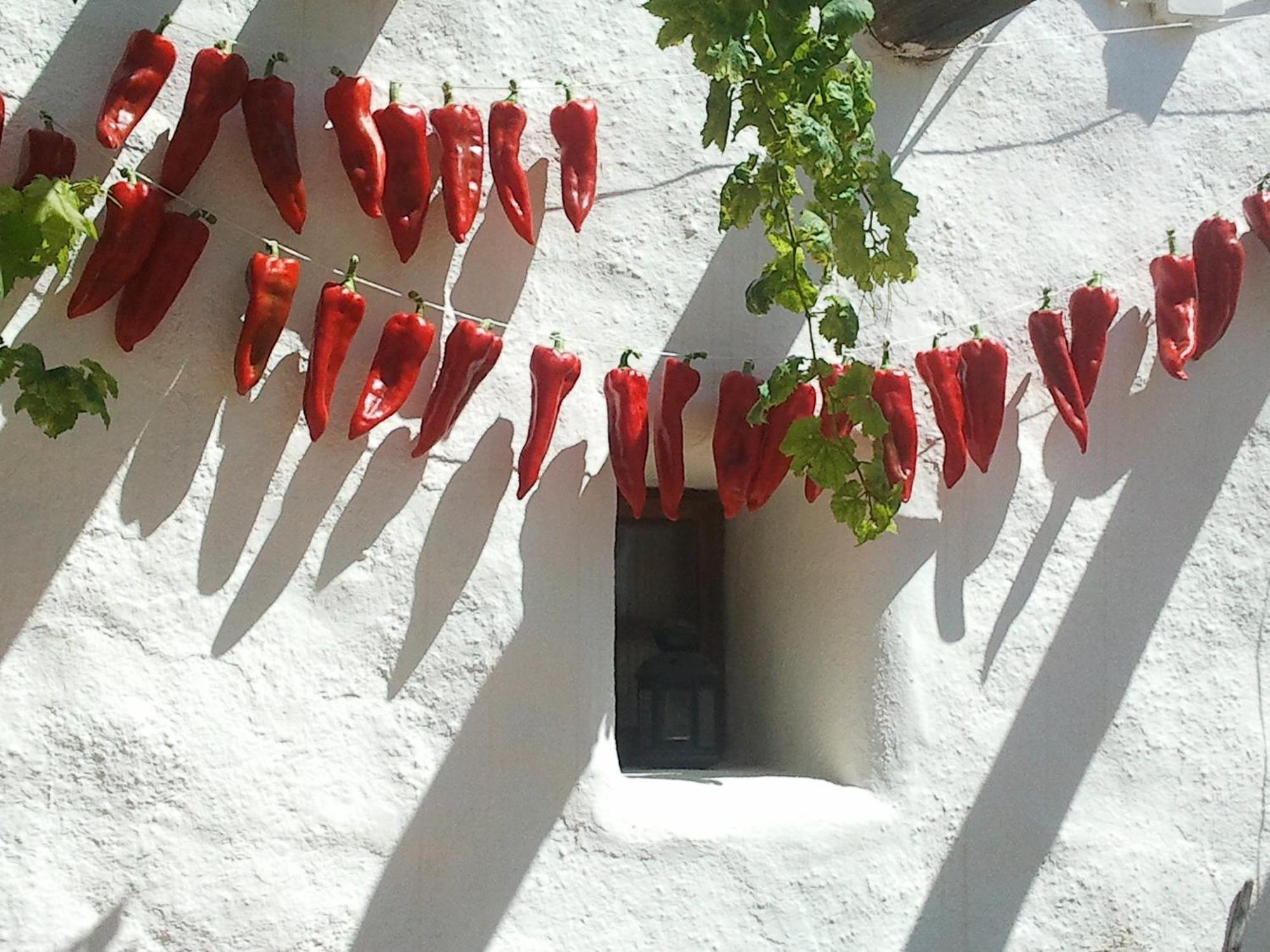 Hotel Rural Cortijo La Alberca Níjar Exterior photo