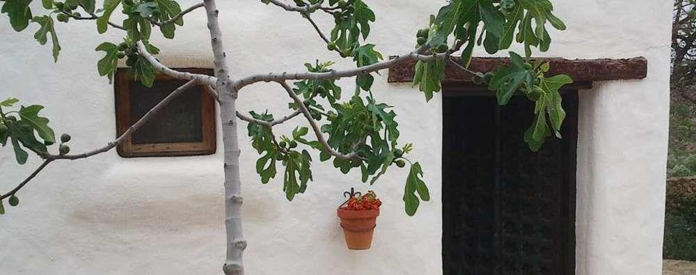 Hotel Rural Cortijo La Alberca Níjar Exterior photo