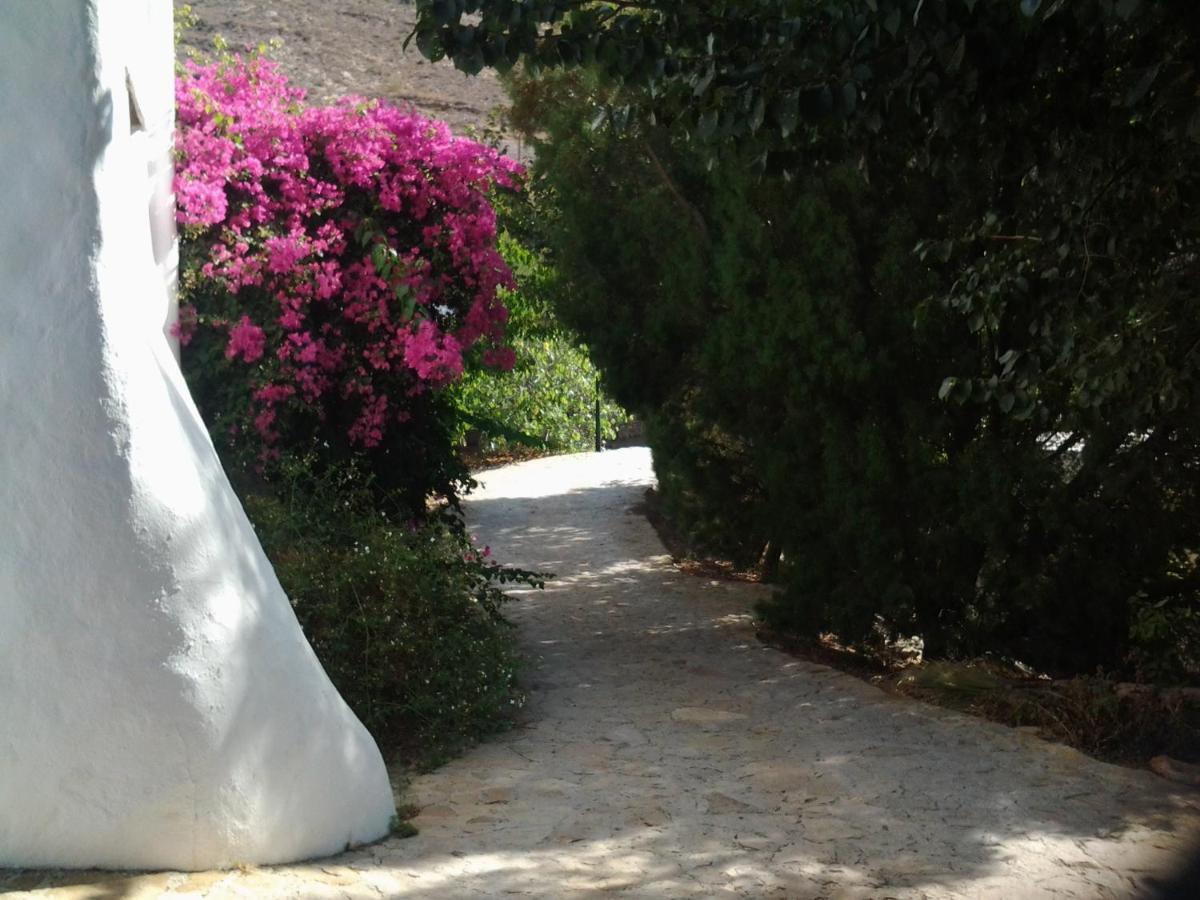 Hotel Rural Cortijo La Alberca Níjar Exterior photo